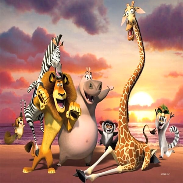 MG 714 MADAGASCAR PUZZLE 100 PRÇ