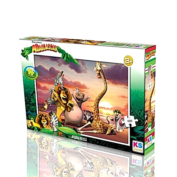 MG 714 MADAGASCAR PUZZLE 100 PRÇ