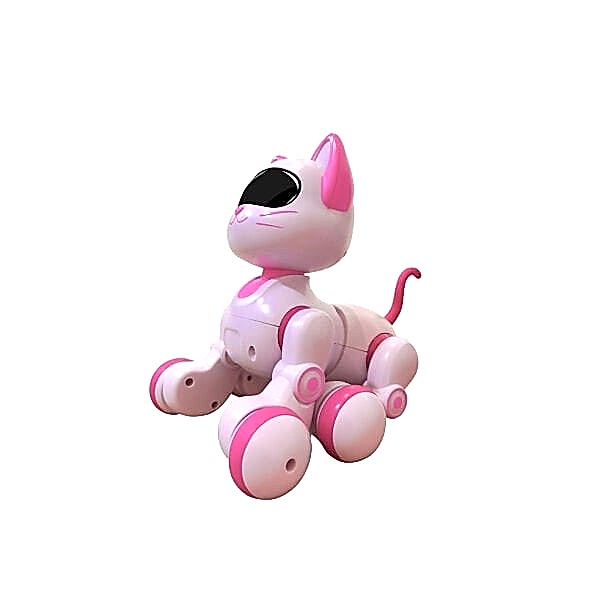 KEDİ 6602 KUMANDALI ROBOT KEDİ