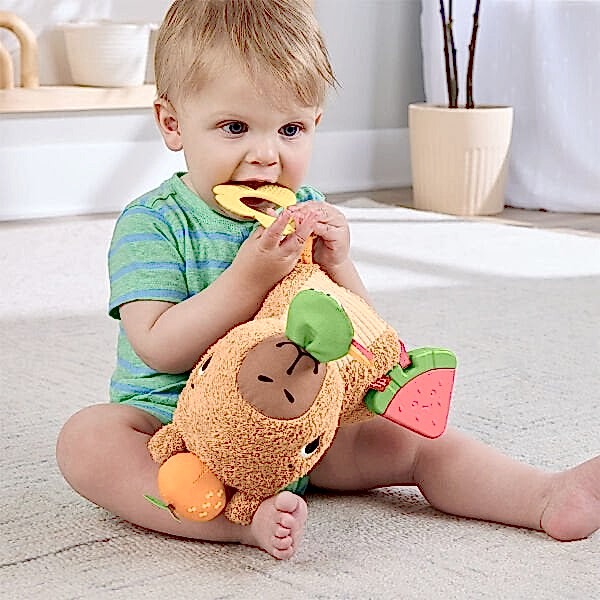 HYR54 FFisher-Price Yumuşak Kapibara