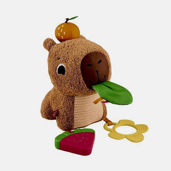 HYR54 FFisher-Price Yumuşak Kapibara