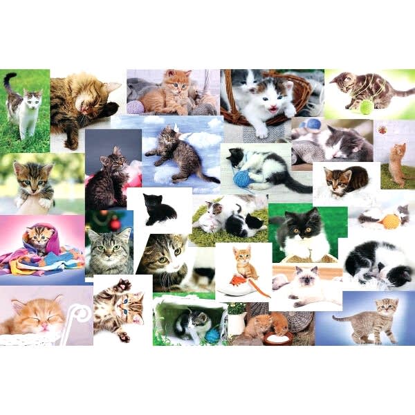 17332 Kedi Dünyası 60 Parça Puzzle -Trefl Puzzle