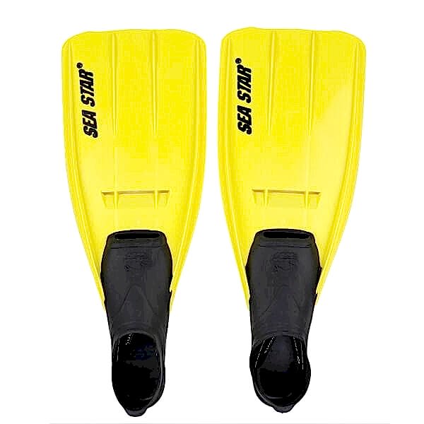 NPL-SEA Star Palet No:38-39