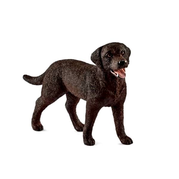 13834 Schleich - Dişi Labrador Retriever  +3 yaş
