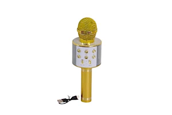EMR-101 KUTULU KARAOKE MİKROFON