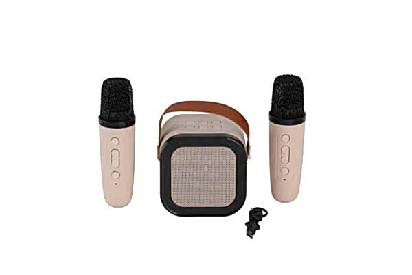 EMR-102 KUTULU 2Lİ KARAOKE MİKROFON