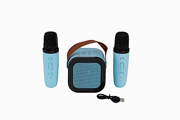 EMR-102 KUTULU 2Lİ KARAOKE MİKROFON