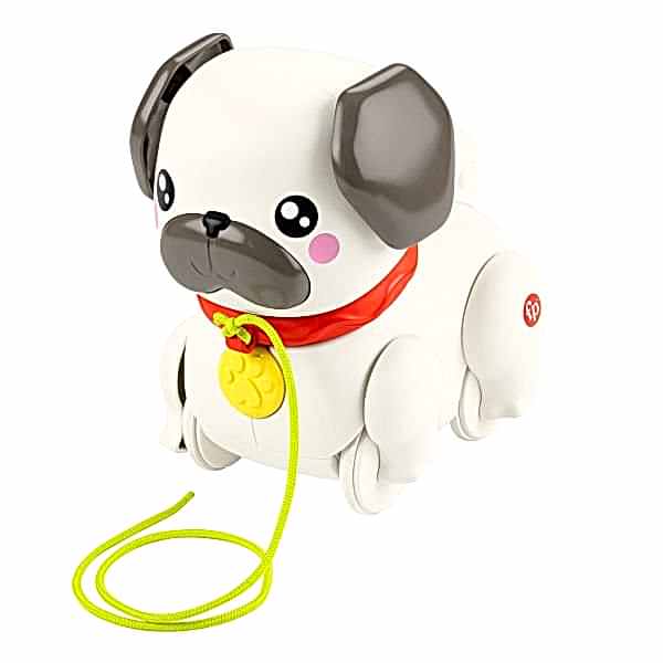 HTW94 Fisher-Price  Minik Dostumla Yürüyüş
